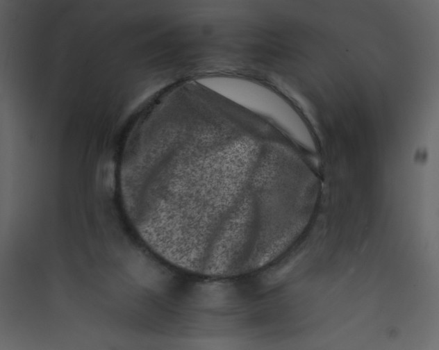 X0000089430067200707131854