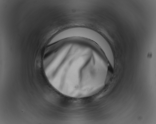 X0000089430068200707131854