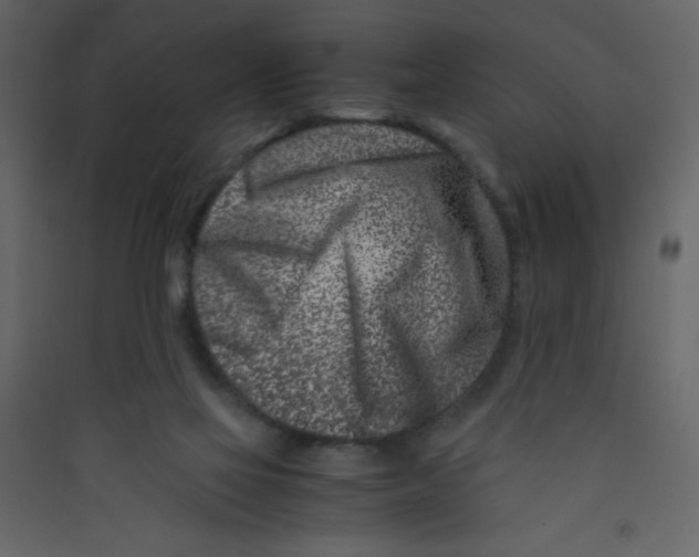 X0000089430069200707131854