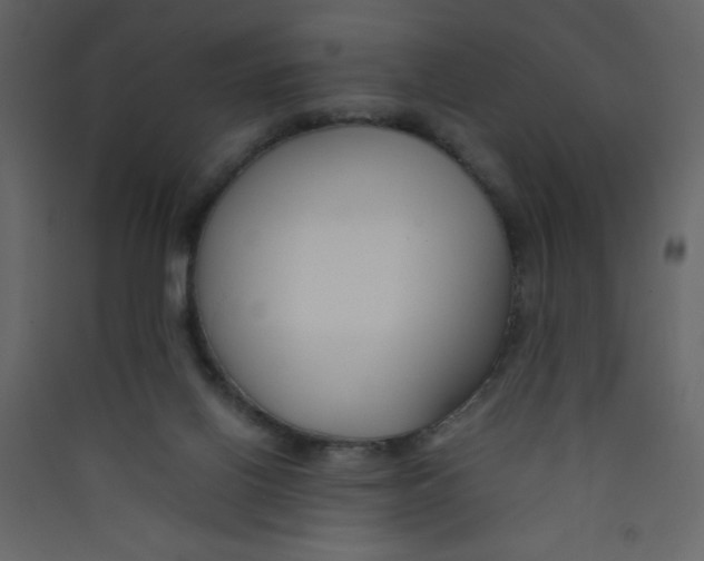 X0000089430070200707131854