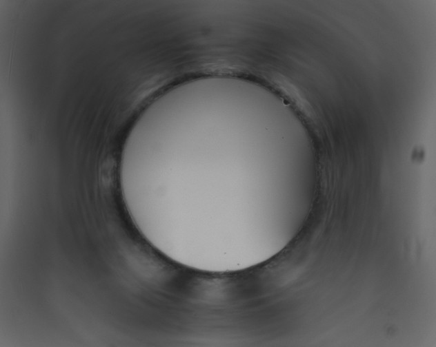 X0000089430071200707131854