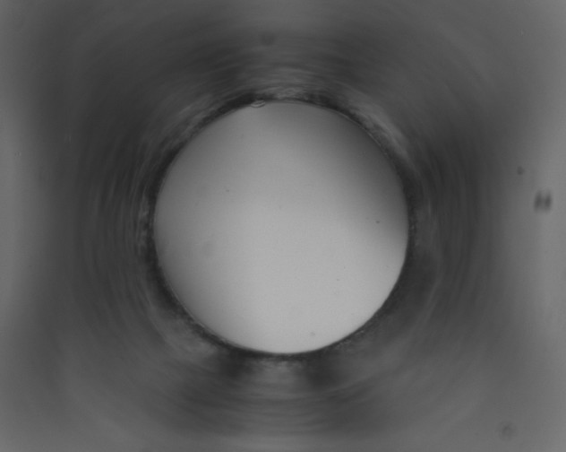 X0000089430073200707131854