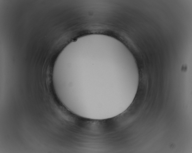 X0000089430074200707131854