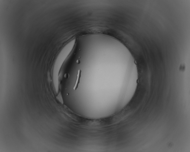 X0000089430075200707131854