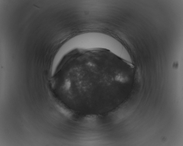 X0000089430076200707131854
