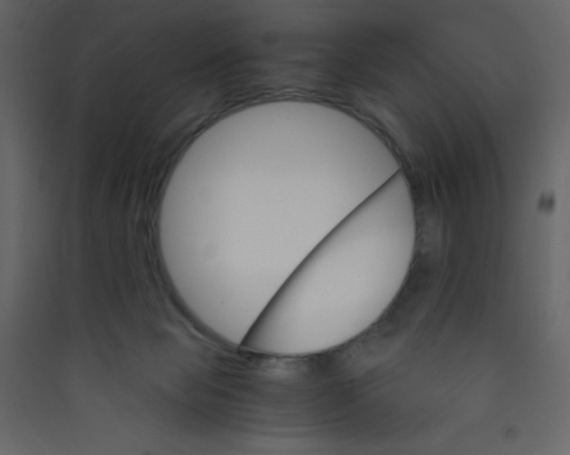 X0000089430077200707131854