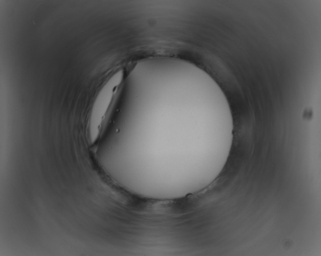 X0000089430078200707131854