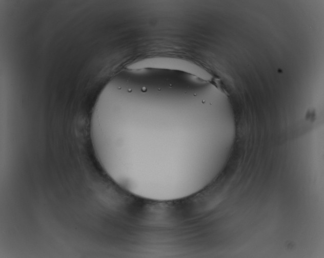 X0000089430079200707131854