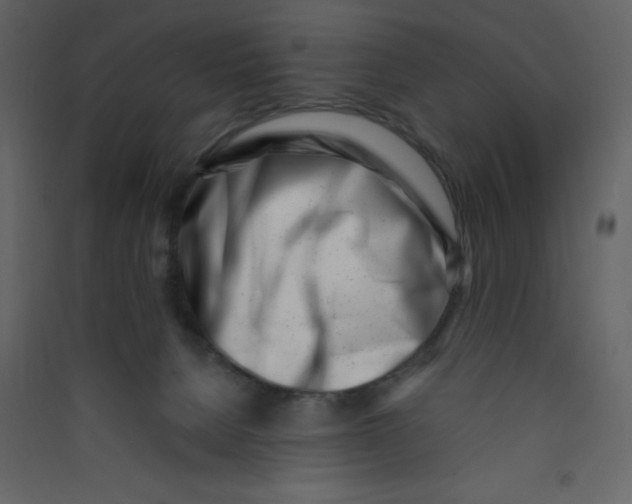 X0000089430080200707131854
