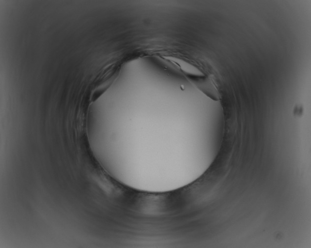 X0000089430081200707131854