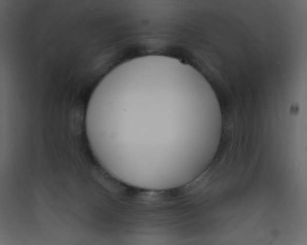 X0000089430082200707131854