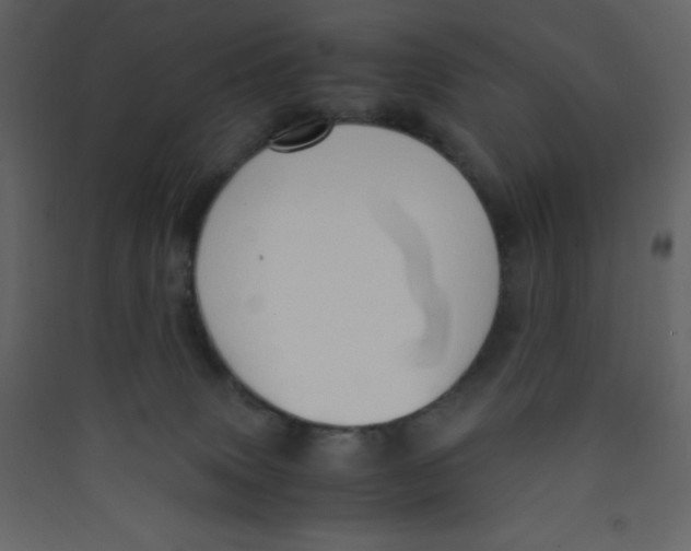 X0000089430083200707131854