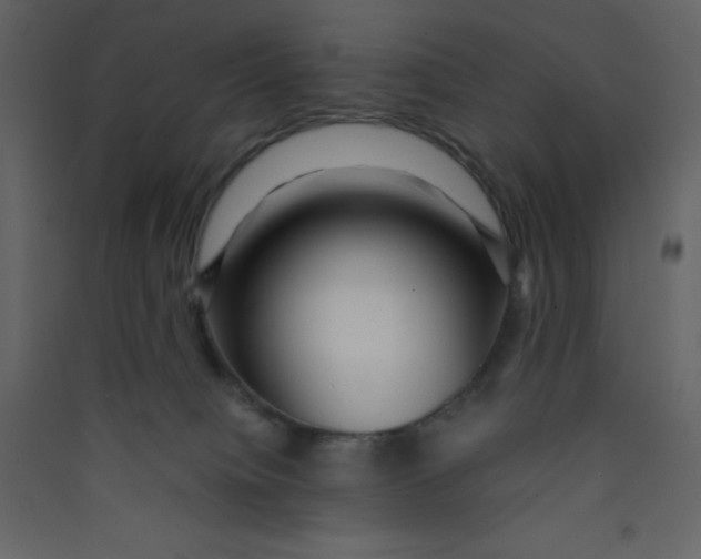 X0000089430084200707131854