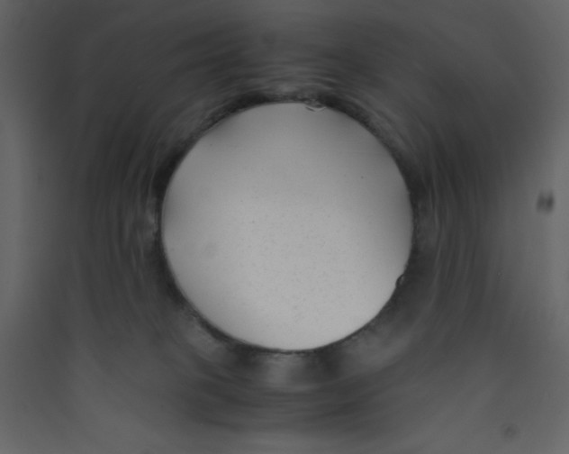 X0000089430085200707131854