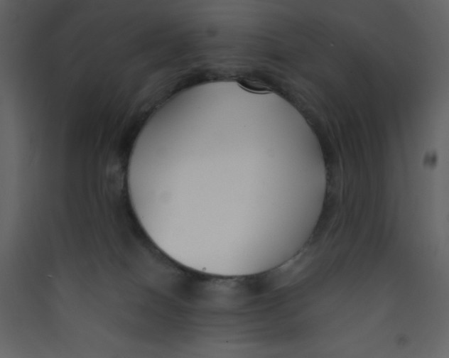 X0000089430086200707131854