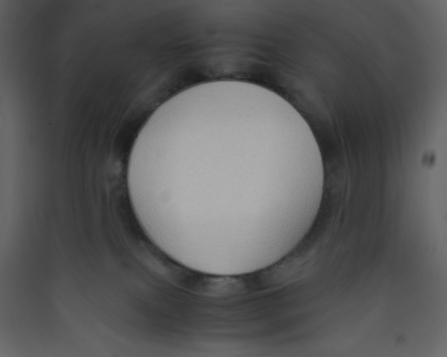X0000089430087200707131854