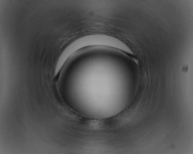 X0000089430088200707131854