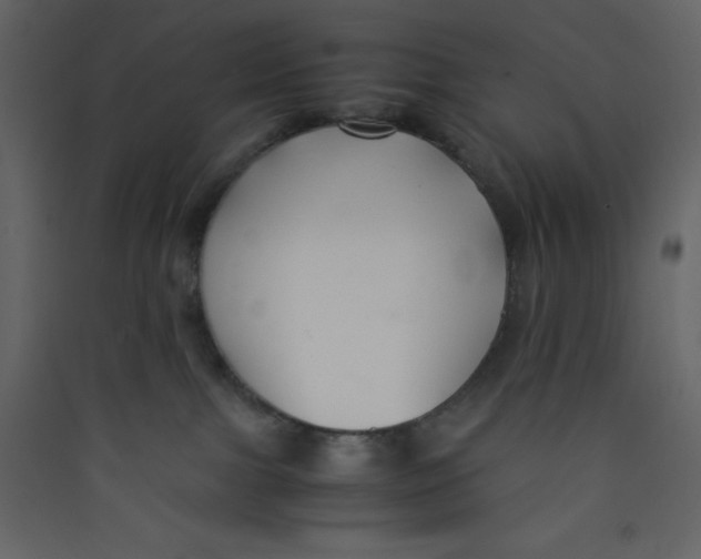 X0000089430091200707131854