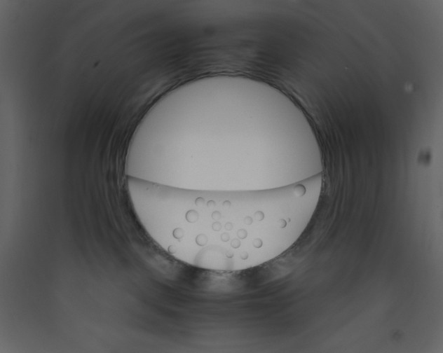 X0000089430093200707131854