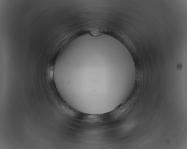 X0000089430095200707131854