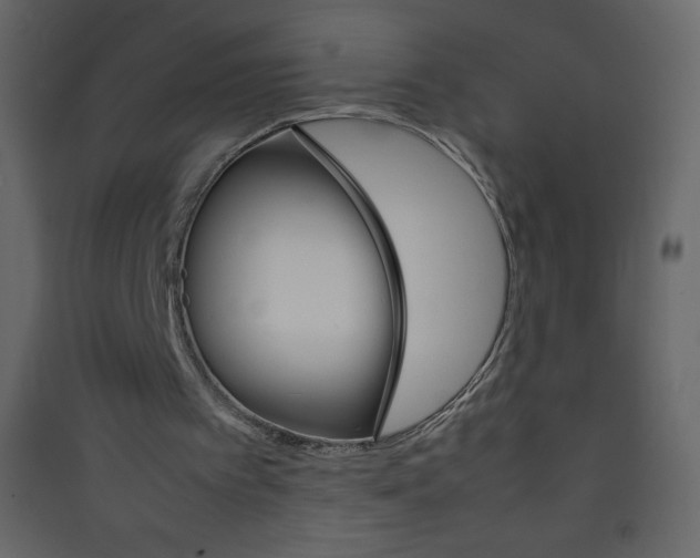 X0000089430097200707131853