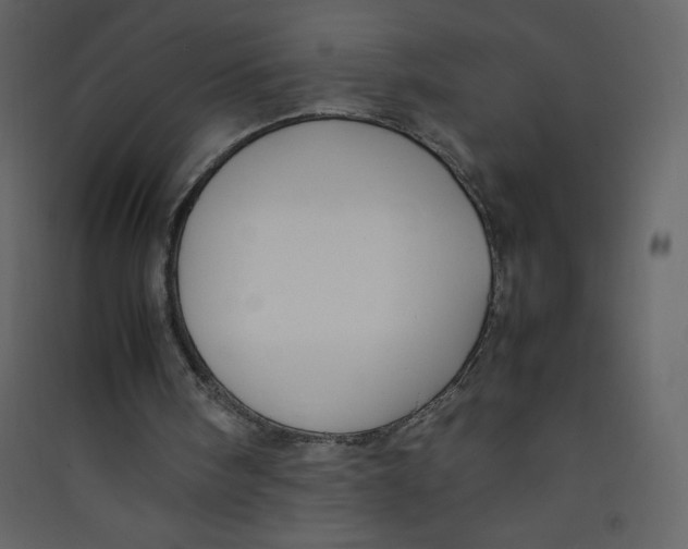 X0000089430098200707131853