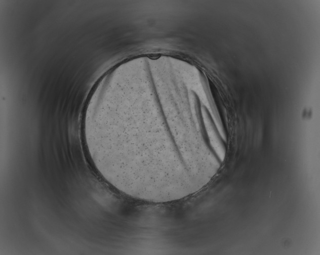 X0000089430100200707131853