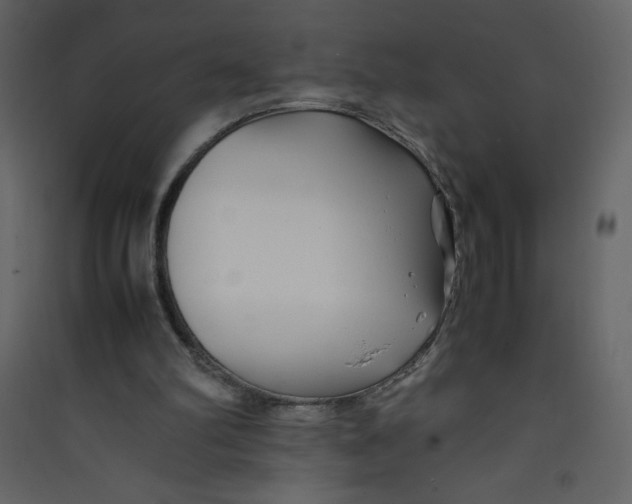 X0000089430102200707131853