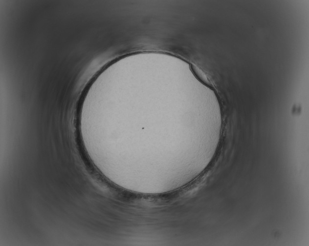 X0000089430103200707131853