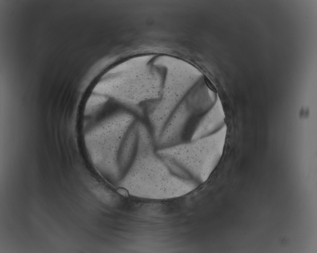 X0000089430104200707131853