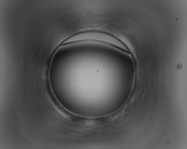 X0000089430105200707131853