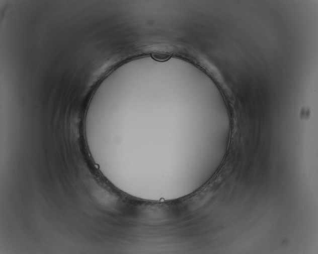 X0000089430106200707131853