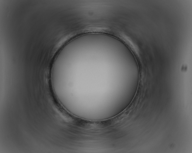 X0000089430107200707131853
