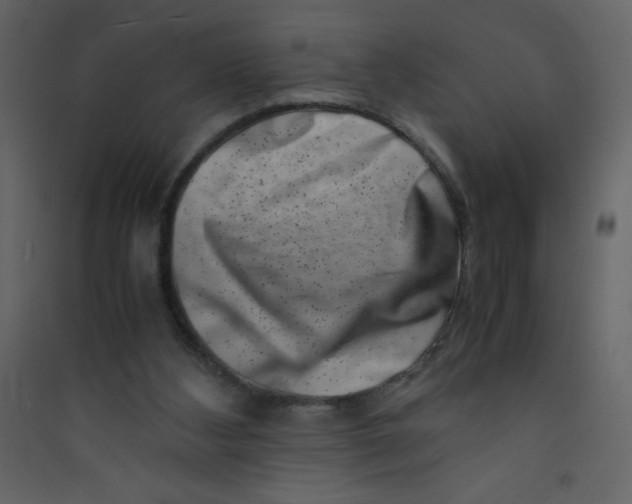 X0000089430108200707131853