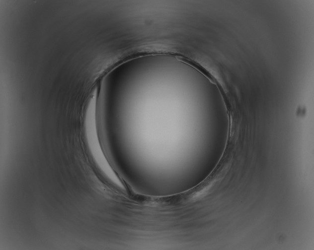 X0000089430109200707131853