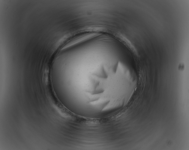 X0000089430110200707131853