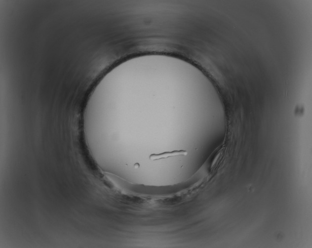 X0000089430111200707131853