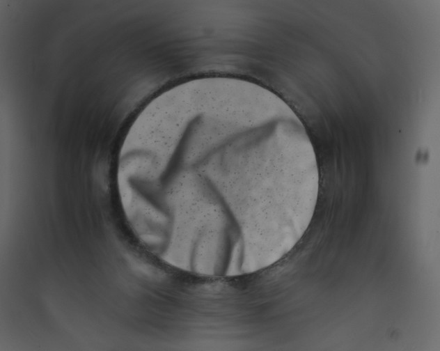 X0000089430112200707131853