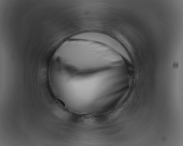 X0000089430113200707131853