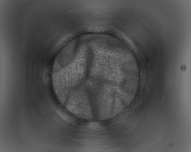 X0000089430114200707131853