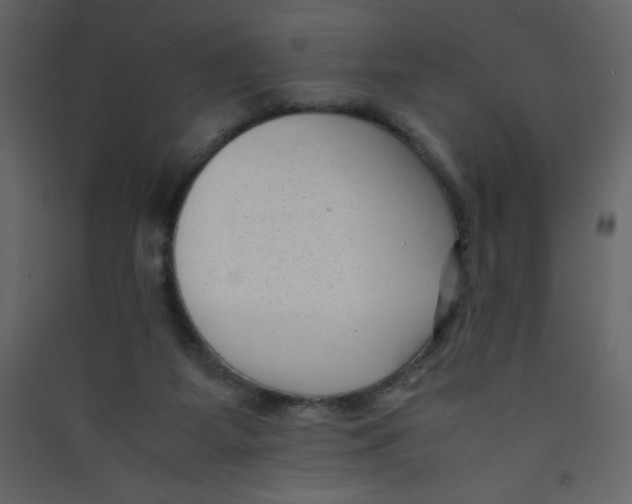 X0000089430115200707131853