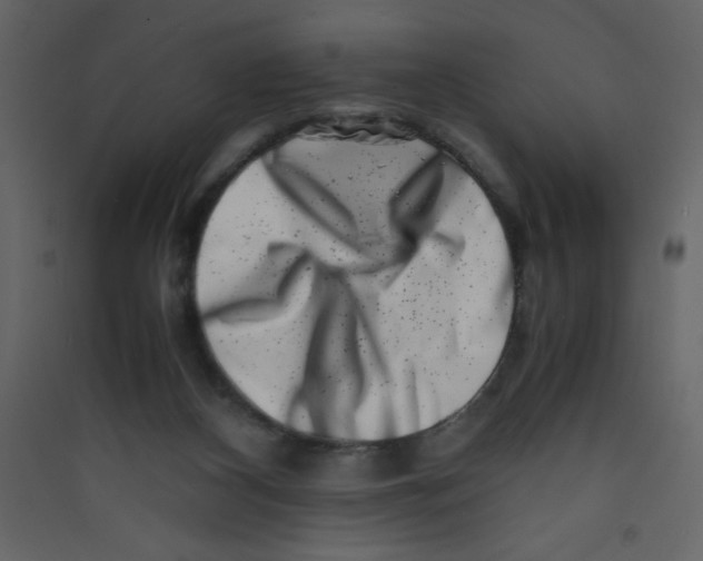 X0000089430116200707131853
