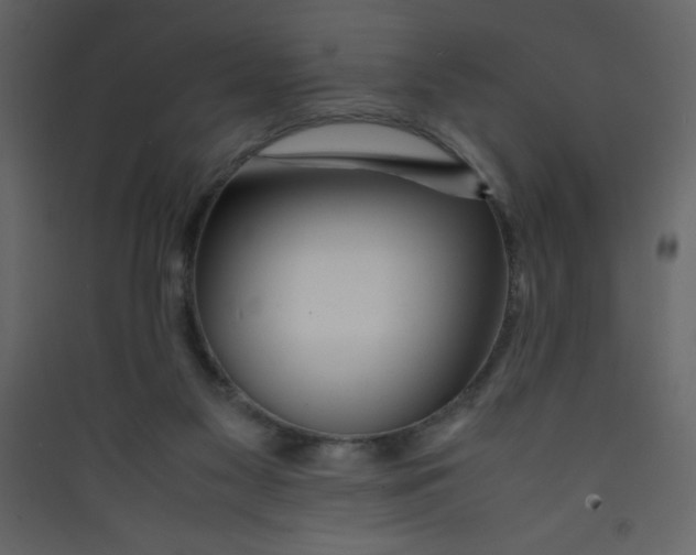 X0000089430117200707131853