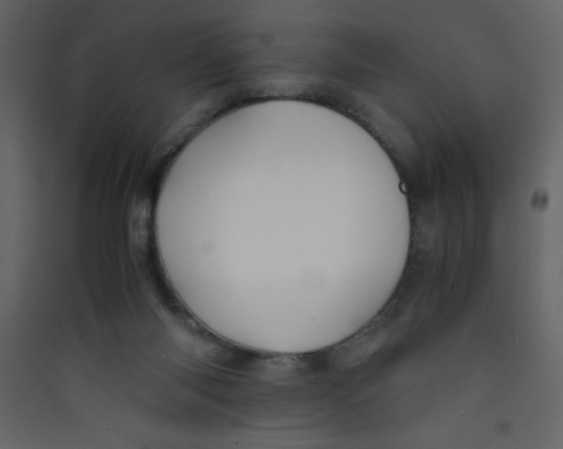X0000089430118200707131853