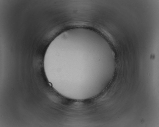 X0000089430119200707131853
