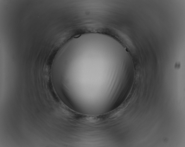 X0000089430121200707131853