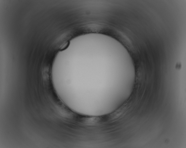 X0000089430122200707131853