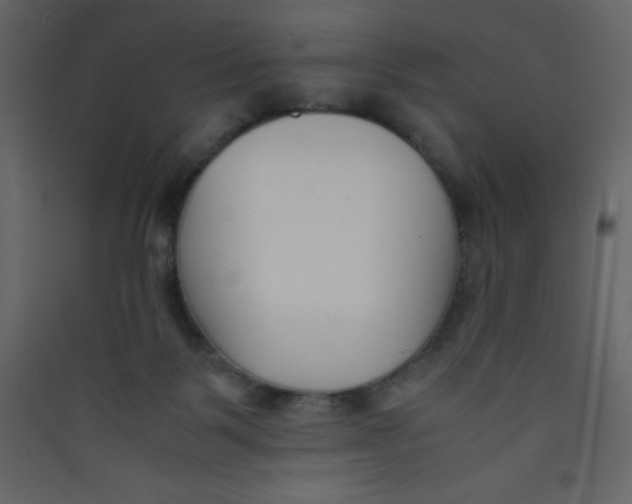 X0000089430123200707131853