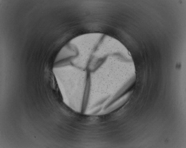 X0000089430124200707131853