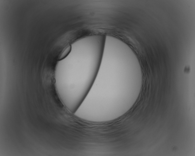 X0000089430125200707131853